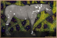 Horse Color:White Spotted Grullo Roan 