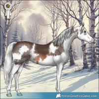Horse Color:Liver Chestnut Mushroom Sabino Splash 