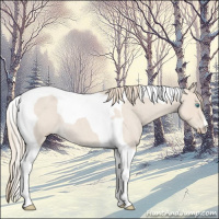 Horse Color:Smoky Creme Roan Tobiano 