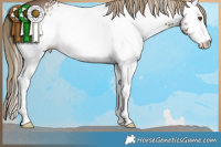 Horse Color:White Spotted Liver Red Dun Rabicano 