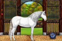 Horse Color:White Spotted Liver Red Dun Appaloosa Rabicano