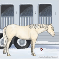 Horse Color:Buckskin Roan Pearl  and Silver Buckskin Roan Pearl 