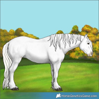 Horse Color:Silver Smoky Grullo Snowcap 