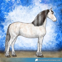 Horse Color:Bay Dun Sabino Rabicano  and Amber Champagne Dun Sabino Rabicano 