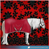 Horse Color:Chestnut Sabino Splash Appaloosa 