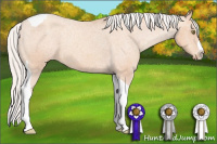 Horse Color:Silver Amber Champagne Splash Tobiano Varnish Rabicano 