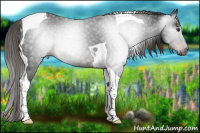 Horse Color:Gray Liver Chestnut Tobiano