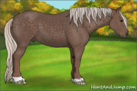Horse Color:Silver Black 