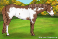 Horse Color:Chestnut Frame 