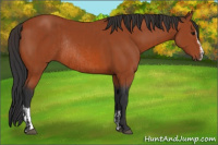 Horse Color:Bay Sabino Rabicano  and Bay Sabino Rabicano 