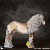 Horse Color:Silver Blue Onyx Pearl Sabino 