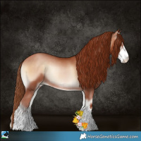Horse Color:Brown Pearl Onyx Sabino Rabicano 