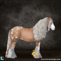 Horse Color:Silver Brown Pearl Sabino Rabicano 