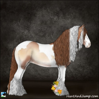 Horse Color:Bay Pearl Onyx Sabino Tobiano 