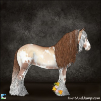 Horse Color:White Spotted Bay Pearl Onyx Sabino 