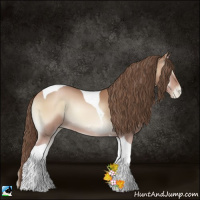 Horse Color:Blue Onyx Pearl Sabino Tobiano 