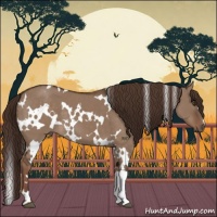 Horse Color:White Spotted Liver Red Dun 
