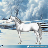 Horse Color:Blue Onyx Sabino Near Fewspot Rabicano 
