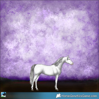 Horse Color:Blue Onyx Sabino Appaloosa