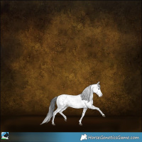 Horse Color:Black Sabino Rabicano