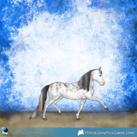 Horse Color:White Spotted Blue Onyx Sabino Rabicano 
