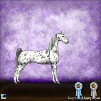 Horse Color:Blue Onyx Sabino Leopard Rabicano 