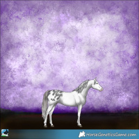 Horse Color:Blue Roan Sabino Blanket