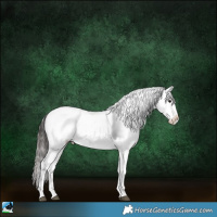Horse Color:Brown Sabino Appaloosa
