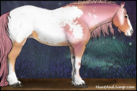 Horse Color:Watercolor Red Onyx Sabino Appaloosa 