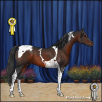 Horse Color:Brown Tobiano 
