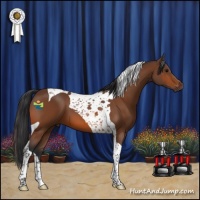 Horse Color:Bay Tobiano 