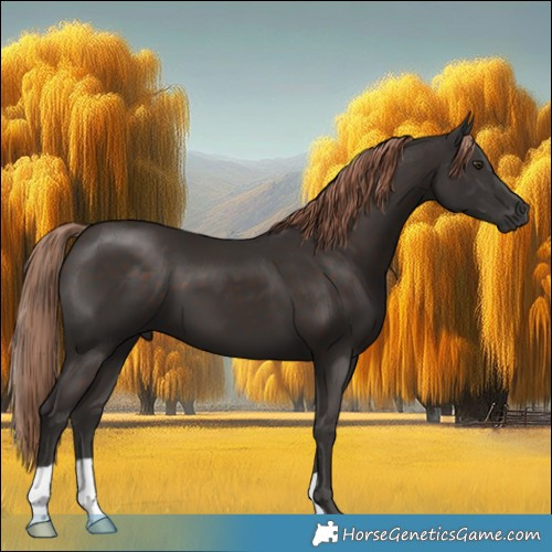Horse Color:Liver Chestnut 