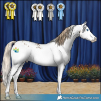 Horse Color:White Spotted Chocolate Palomino Splash Rabicano 
