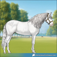 Horse Color:Perlino Splash 
