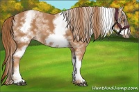 Horse Color:White Spotted Chestnut Sabino Frame 