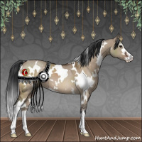 Horse Color:White Spotted Brown Dun Sabino 