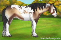 Horse Color:Brown Onyx Splash Tobiano Appaloosa