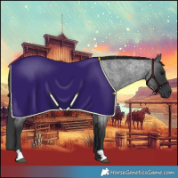 Horse Color:Blue Roan 