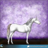Horse Color:Smoky Blue Onyx Sabino Appaloosa 