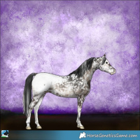 Horse Color:Blue Onyx Ice Appaloosa Rabicano