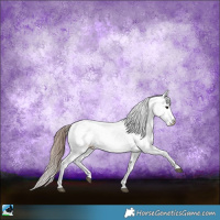 Horse Color:Black Ice Snowcap Rabicano 