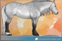 Horse Color:Silver Bay Chinchilla 