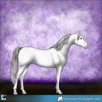 Horse Color:Black Ice Appaloosa