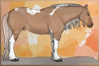 Horse Color:Silver Bay Dun Tobiano 