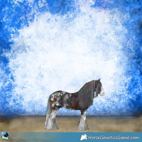 Horse Color:Nacre Brown Ice Sabino Rabicano 
