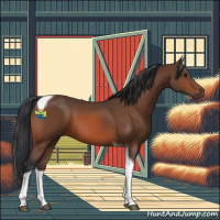 Horse Color:Bay Tobiano 