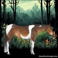 Horse Color:Buckskin Tobiano 