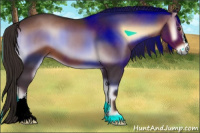 Horse Color:Liver Red Onyx