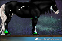 Horse Color:Watercolor Liver Red Onyx Roan Appaloosa 