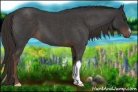 Horse Color:Liver Red Roan 